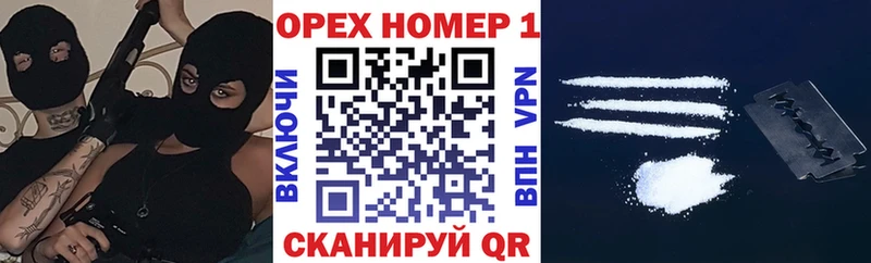 закладка  маркетплейс официальный сайт  Кокаин Fish Scale  Кадников 