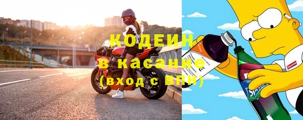 хмурый Алексин