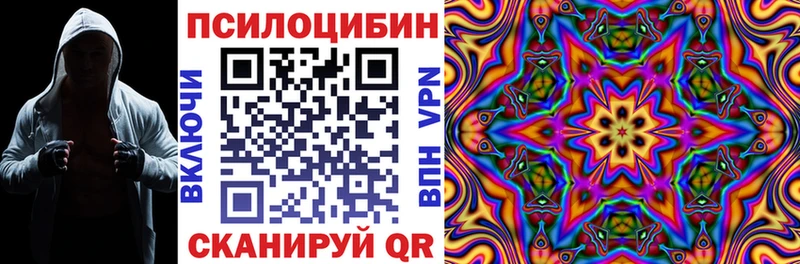 Галлюциногенные грибы Psilocybine cubensis  Кадников 
